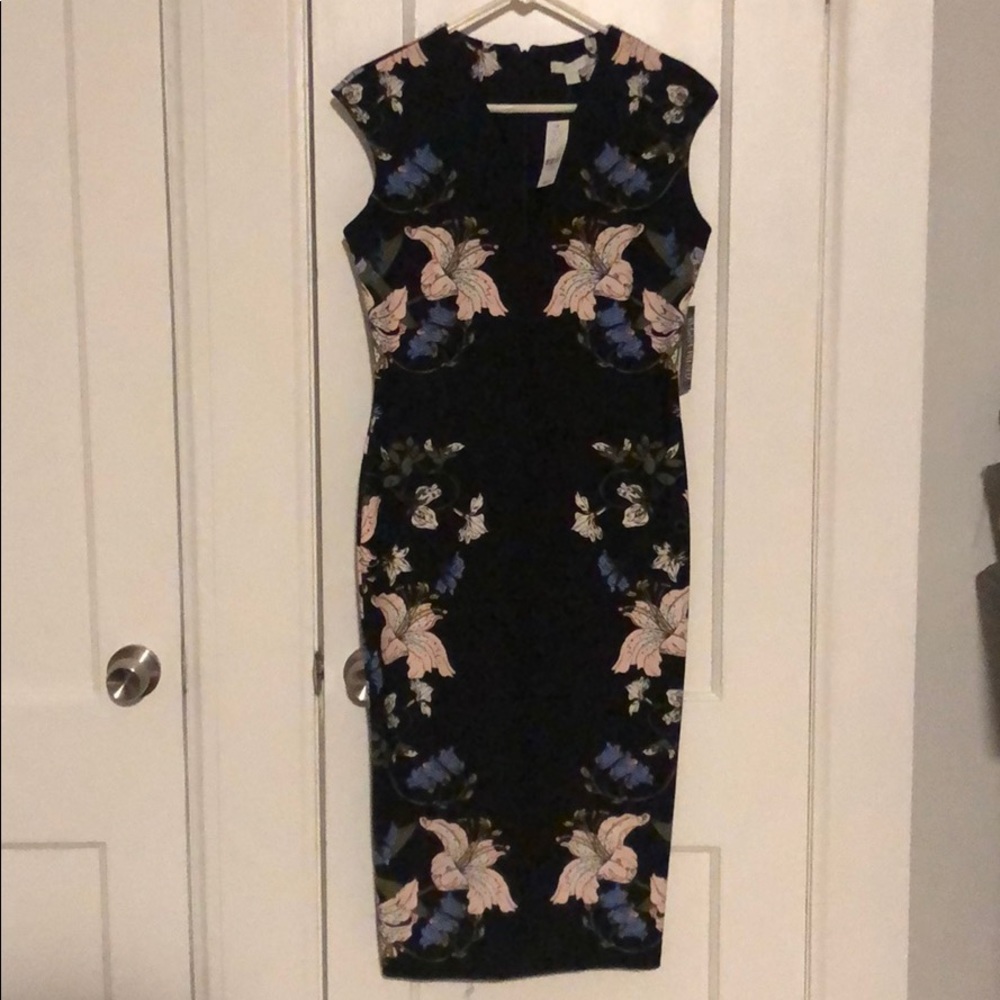 NWT! Floral, knee length dress